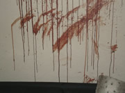 Blood Cleanup