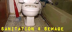 Sanitation & Sewage Leaks